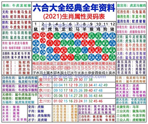 六合彩生肖图|2024年【六合彩生肖号码】属性知识对照表